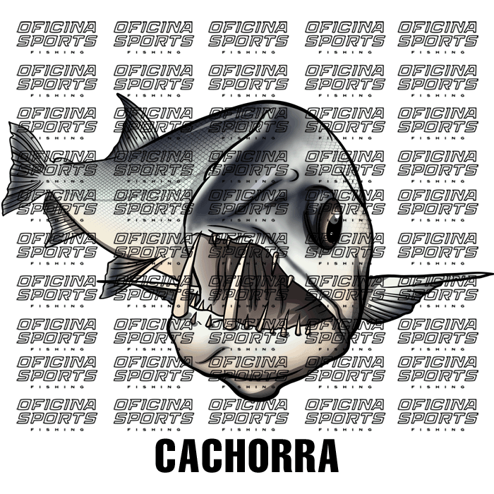 CACHORRA