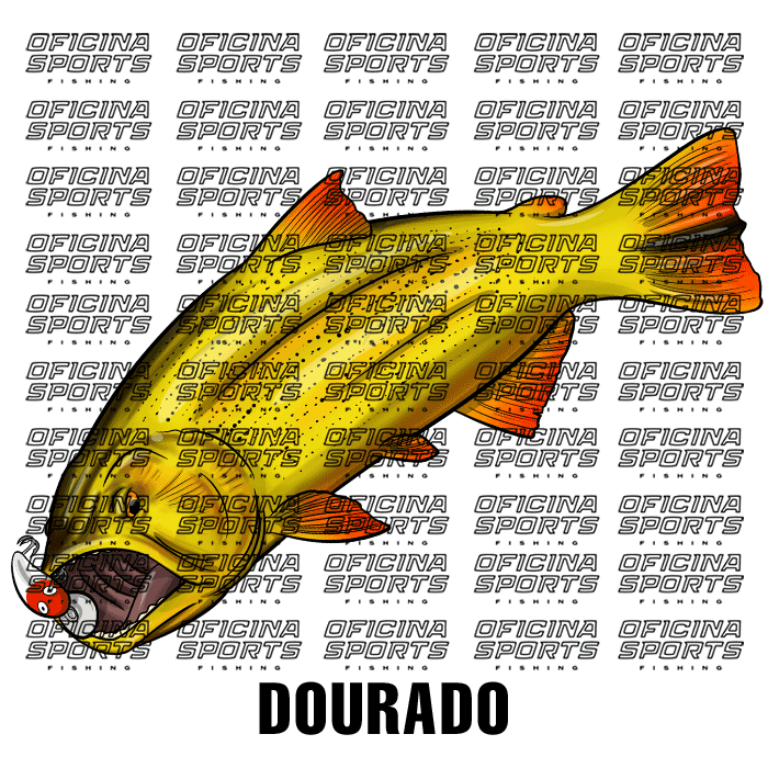 DOURADO-2