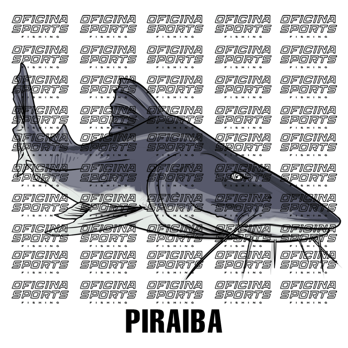 PIRAIBA