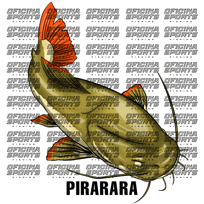 PIRARARA-2