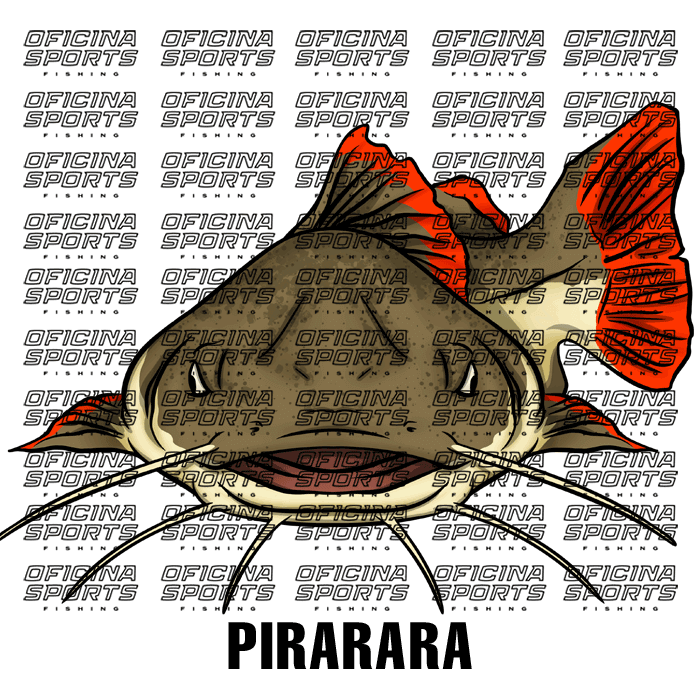 PIRARARA-4