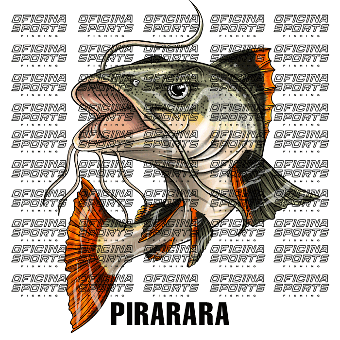 PIRARARA-5