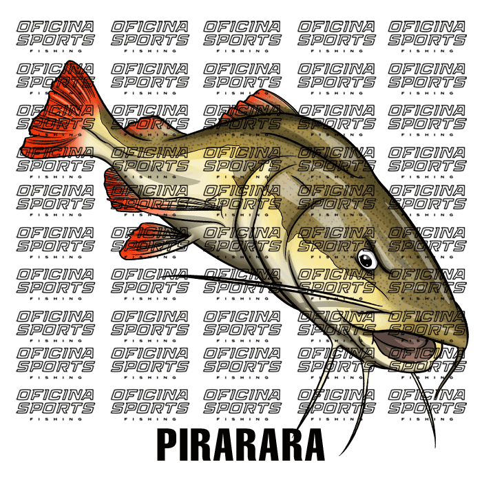 PIRARARA