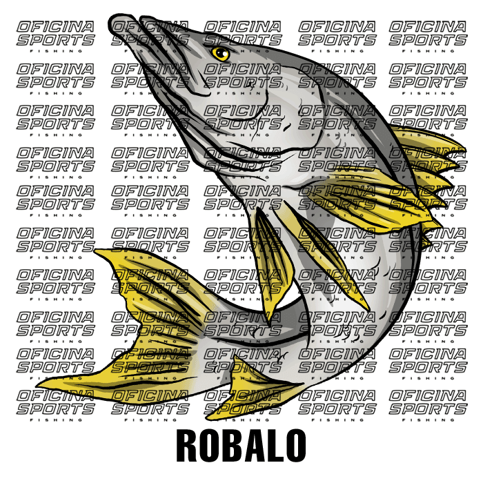 ROBALO-2