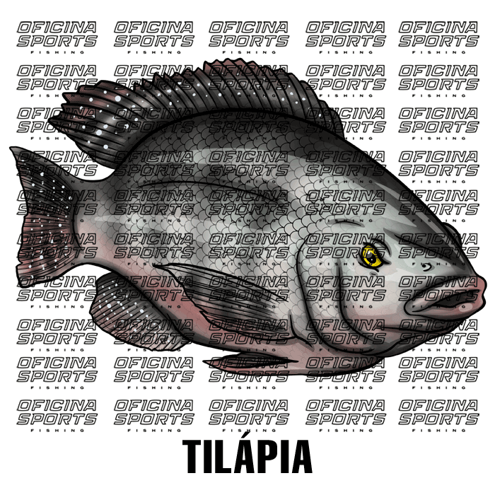TILÁPIA
